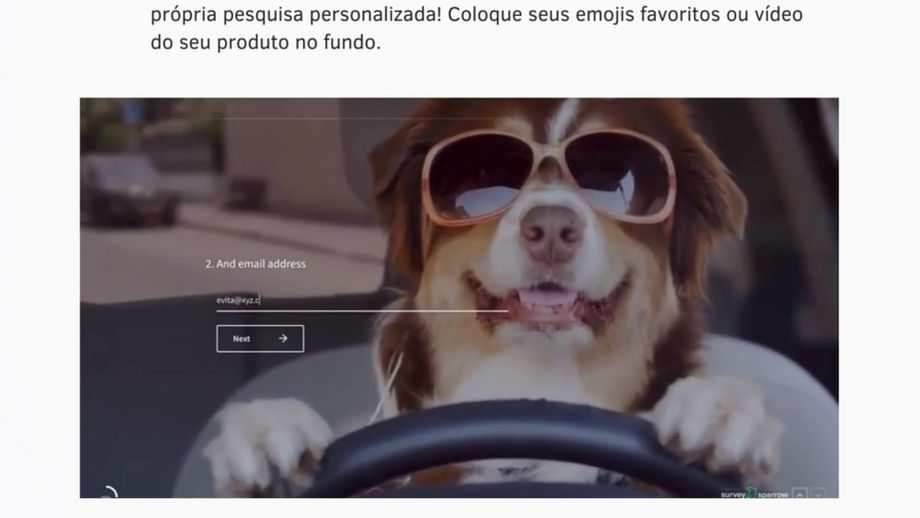 Pesquisas Interativas com a Survey Sparrow